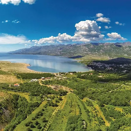 Apartament Front In *